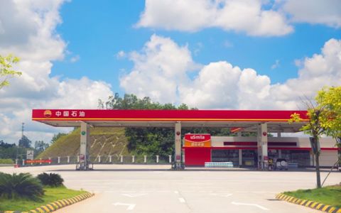 中石油武汉市加油站分布